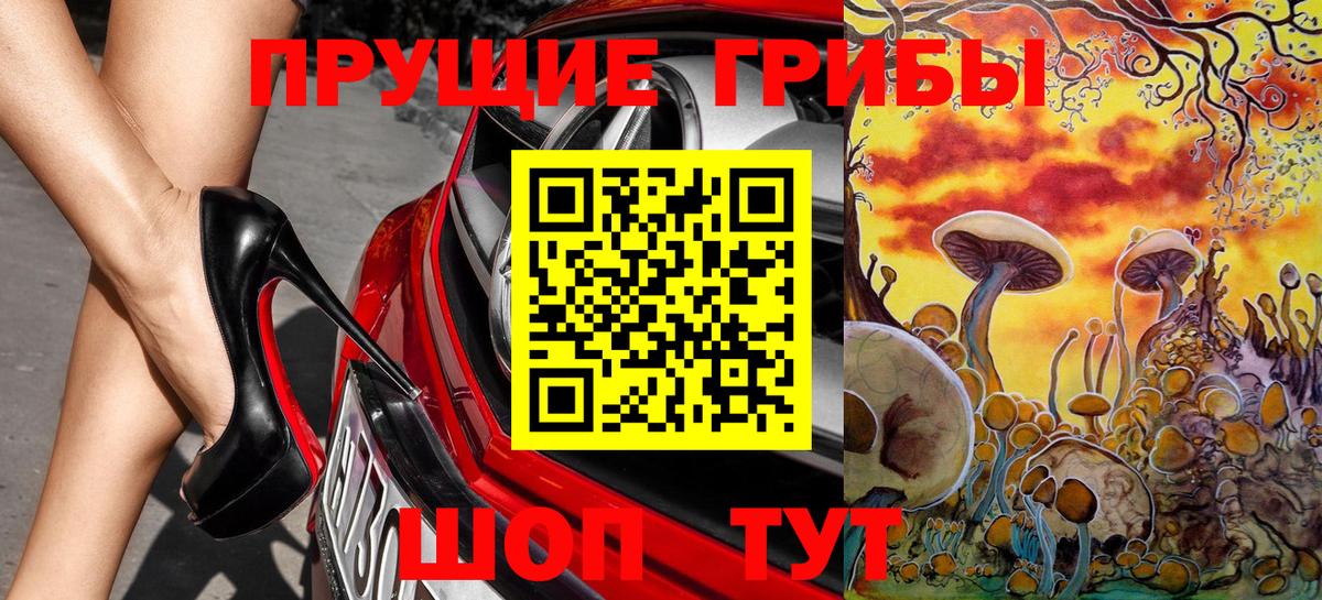 Галлюциногенные грибы Psilocybine cubensis  купить наркоту  Новороссийск  Вход с VPN 