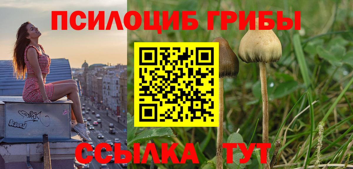 Псилоцибиновые грибы MAGIC MUSHROOMS Новороссийск